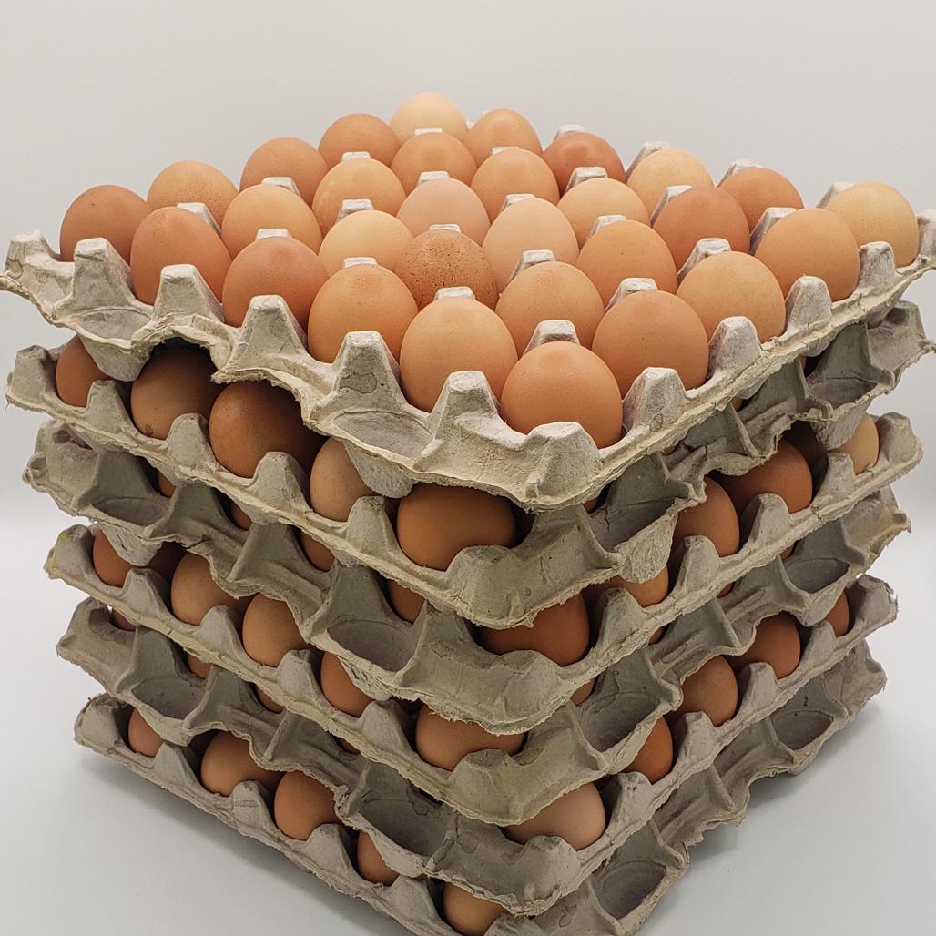 Pasture Raised Eggs