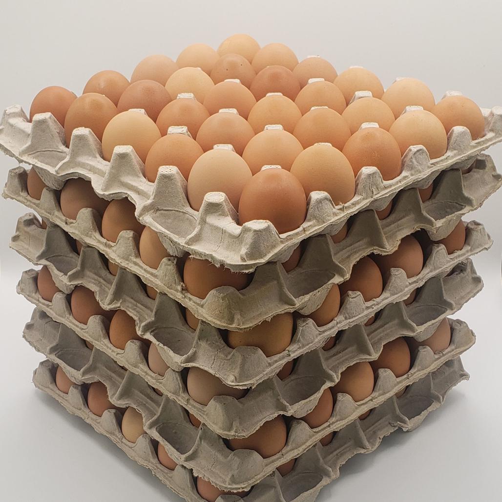 Pasture Raised Eggs