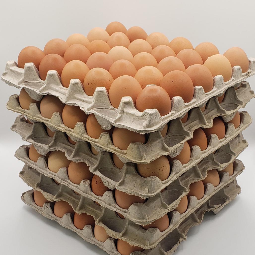 Pasture Raised Eggs