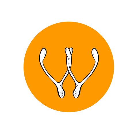 Breast (Bone-In Skin-On)