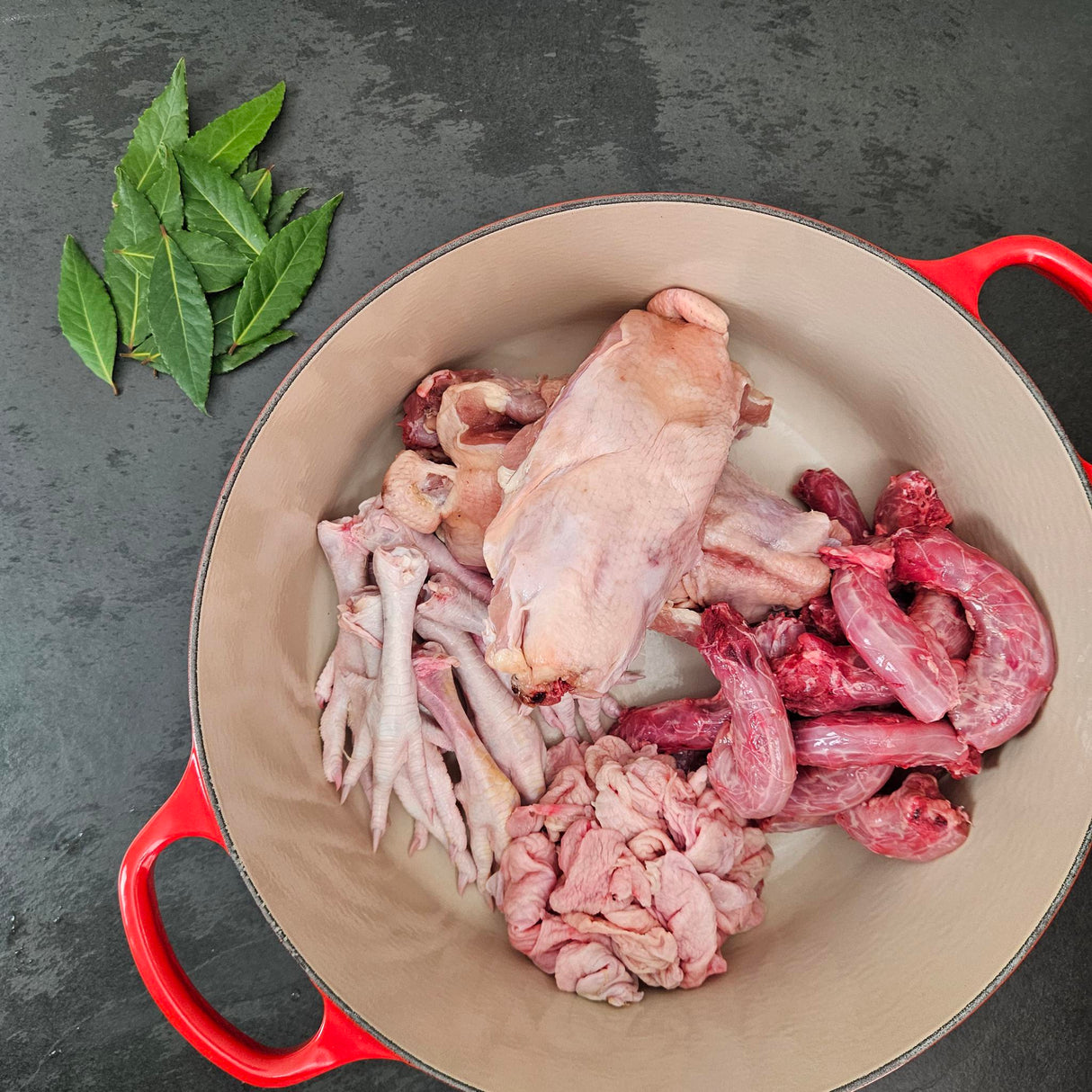 Pasture-raised chicken broth parts bundle — stew hen, feet, necks, and organs in a red Le Creuset Dutch oven with bay leaves — Wishbone Heritage Farms, Saint George, SC