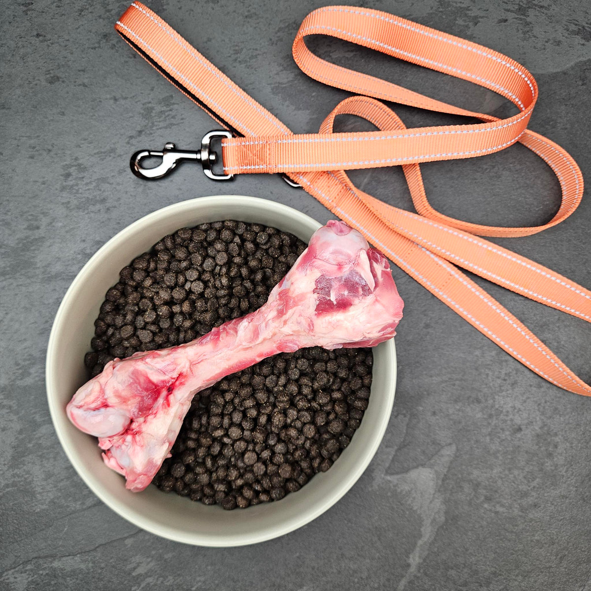 Pasture-raised whole raw pork femur bone for dogs in a dog bowl with kibble and an orange leash — Wishbone Heritage Farms, Saint George, SC
