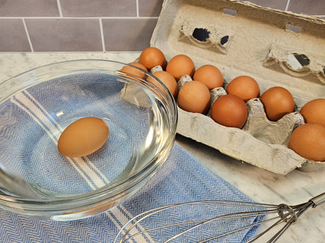 Pasture-raised brown eggs in an open carton beside a glass bowl with one fresh egg in a bowl of water and a whisk on a blue herringbone kitchen towel — Wishbone Heritage Farms, Saint George, SC