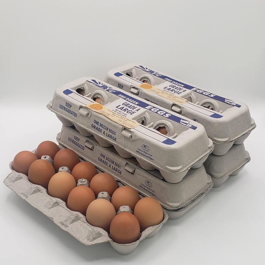 Pasture Raised Eggs | Wishbone Heritage Farms SC
