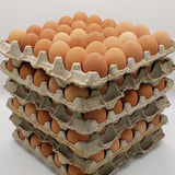 Pasture Raised Eggs