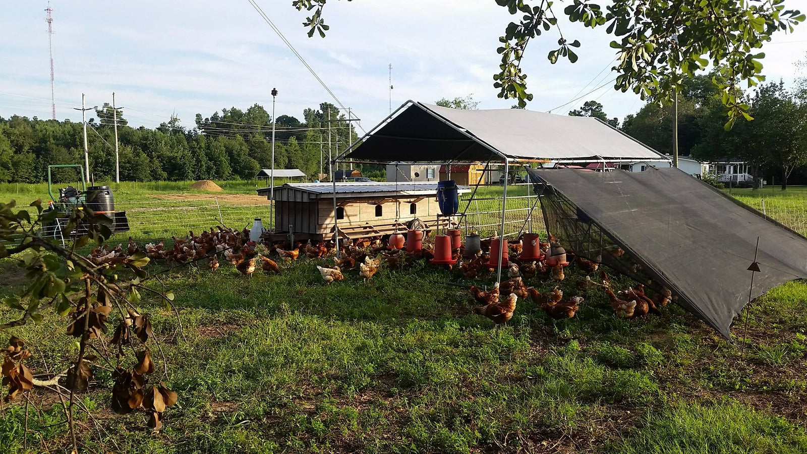 Wishbone Heritage Farms photo 2