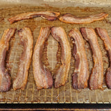 Cooked pasture-raised heritage breed pork bacon strips laid out on a parchment-lined baking rack  — Wishbone Heritage Farms, Saint George, SC