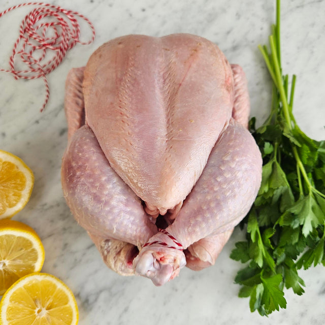 Raw pasture-raised whole chicken trussed with butcher's twine on white marble with sliced lemon and fresh parsley — Wishbone Heritage Farms, South Carolina